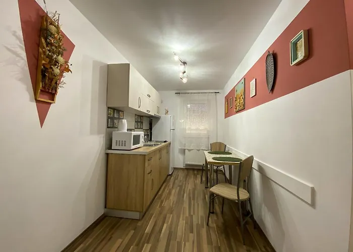 Autumn Bliss Timisoara